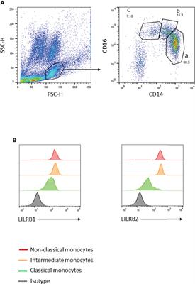 Placental Malaria is Associated with Higher LILRB2 Expression in Monocyte Subsets and Lower Anti-Malarial IgG Antibodies During Infancy